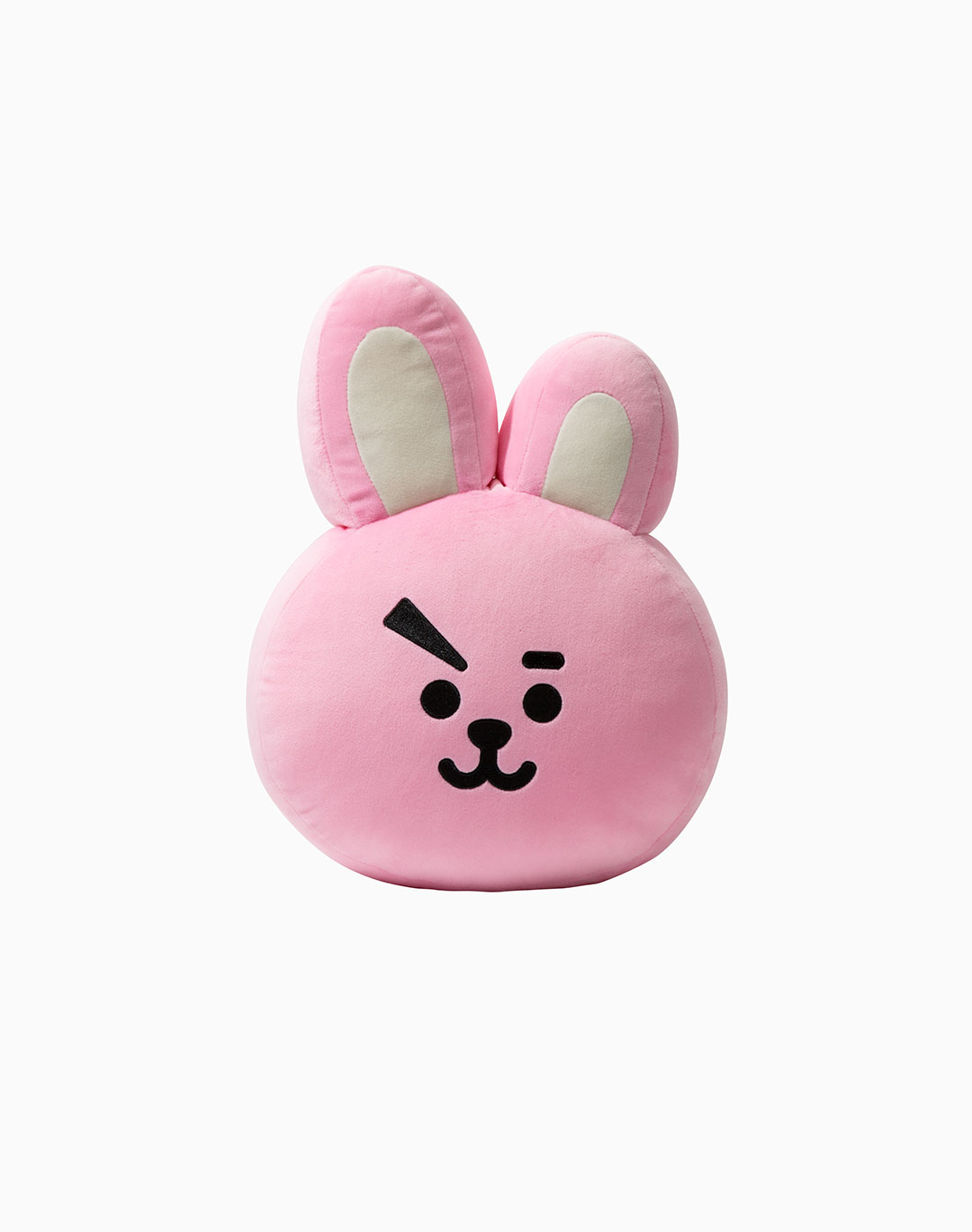 CUSHION-30cm_cooky1.jpg