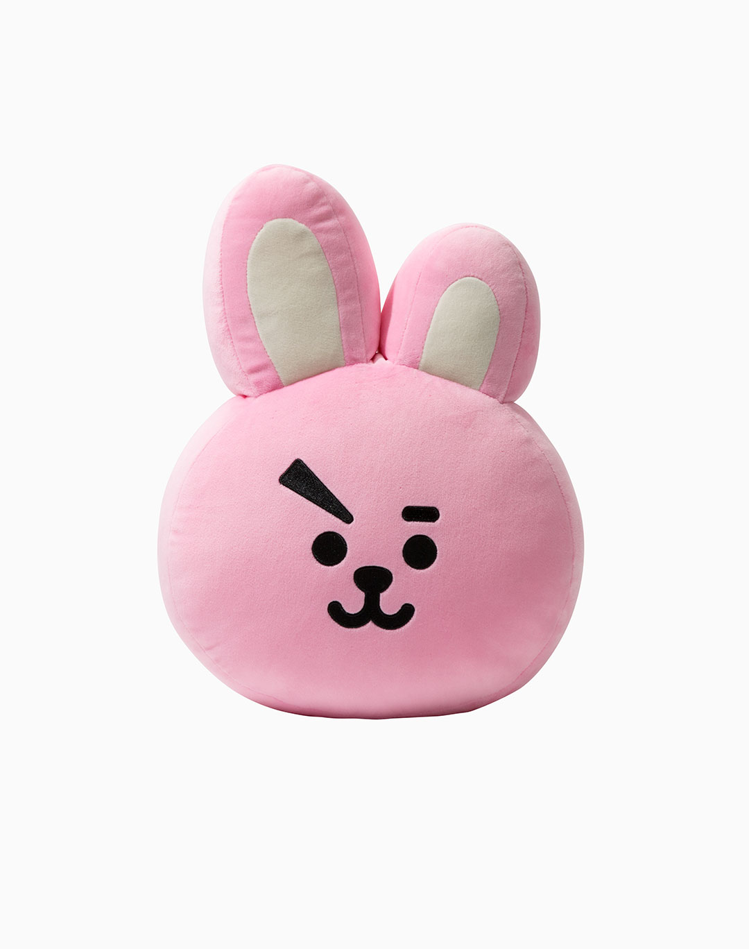 CUSHION-42cm_Cooky1.jpg