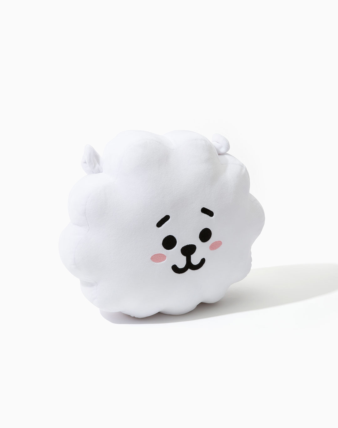 bt21 42cm cushion