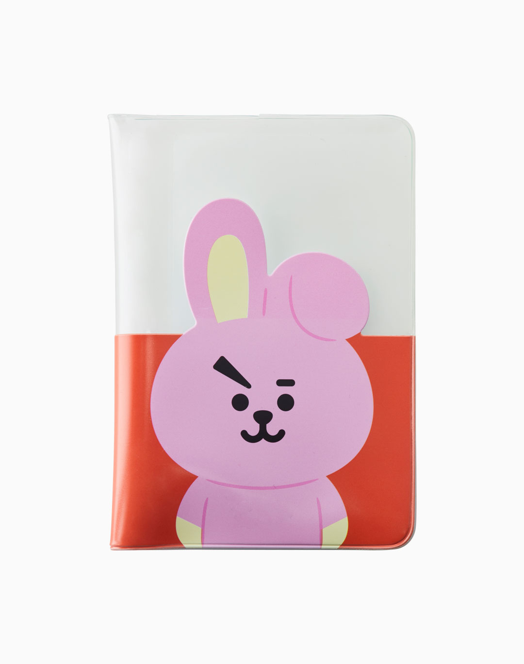 PASSPORT_cooky1.jpg